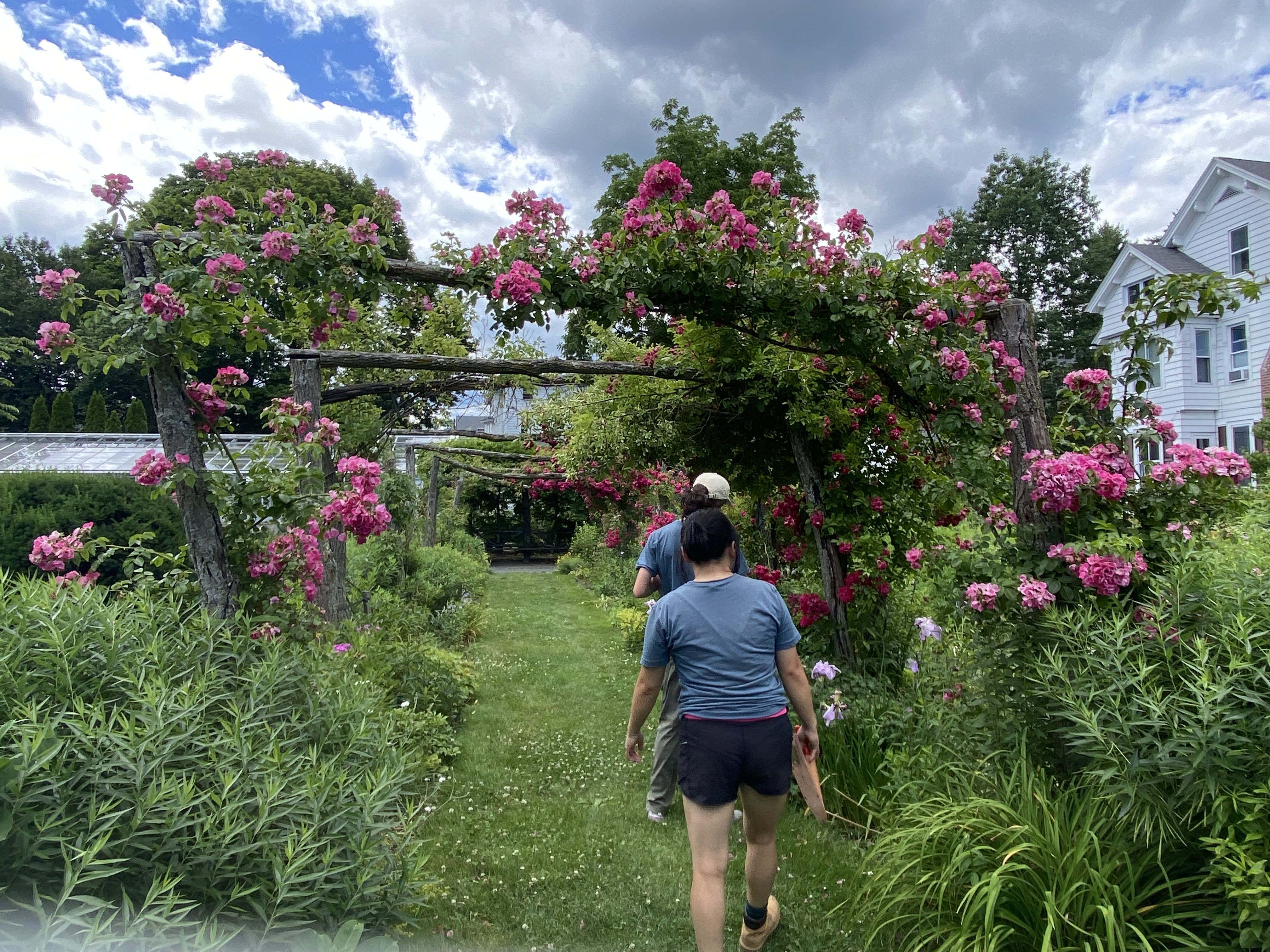 Smith College gardens